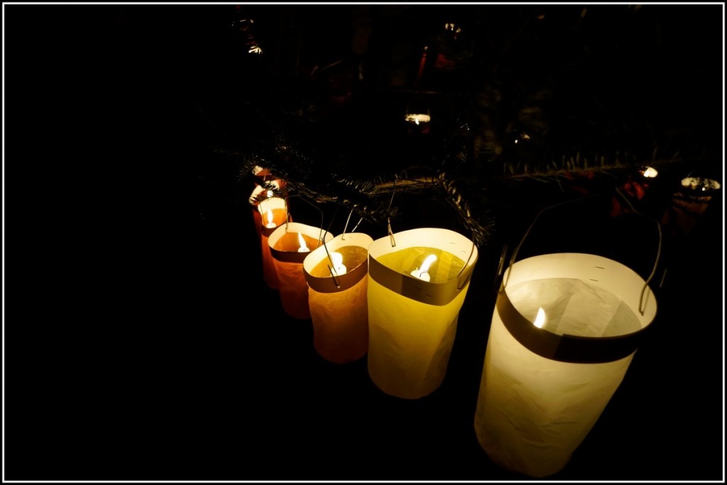 Magica notte 2013