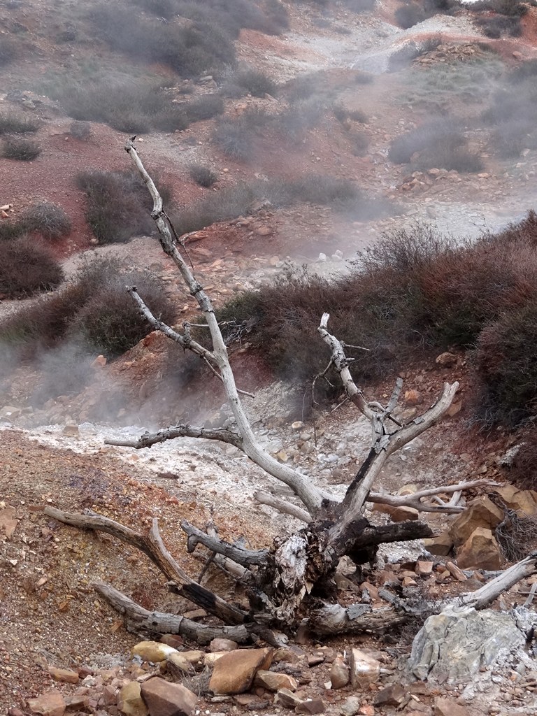 inferi