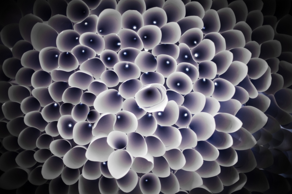 Bubbles