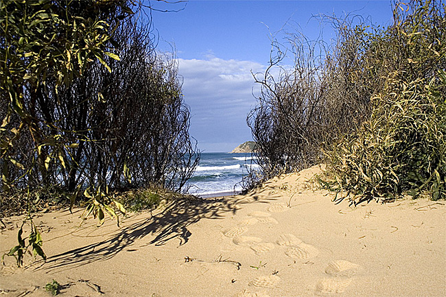 Spiaggia 3