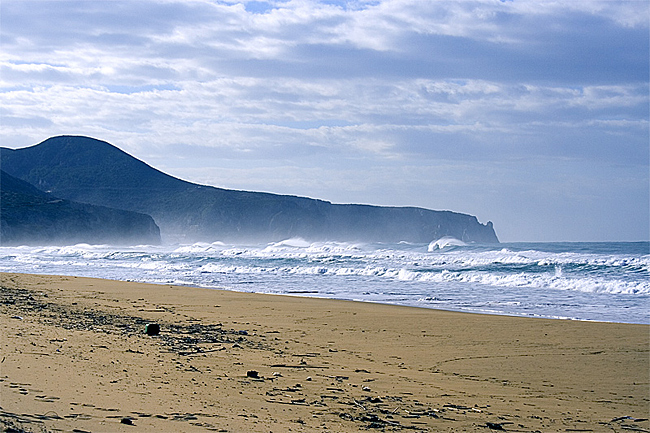 Mare mosso 2