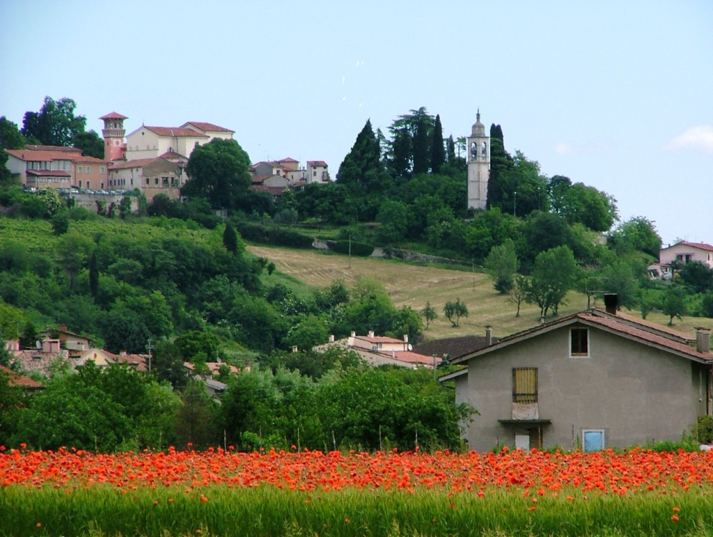Collina Creazzo