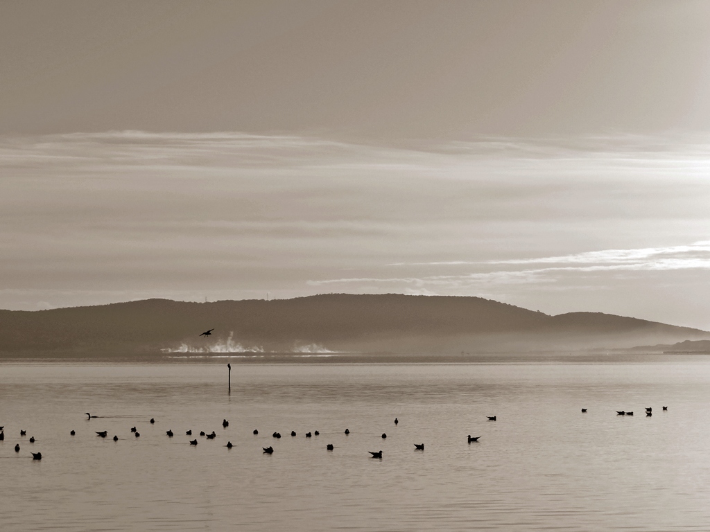 Orbetello