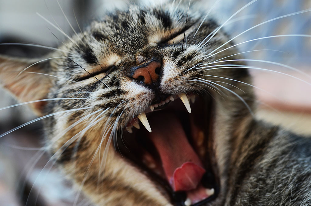 arrghhh....