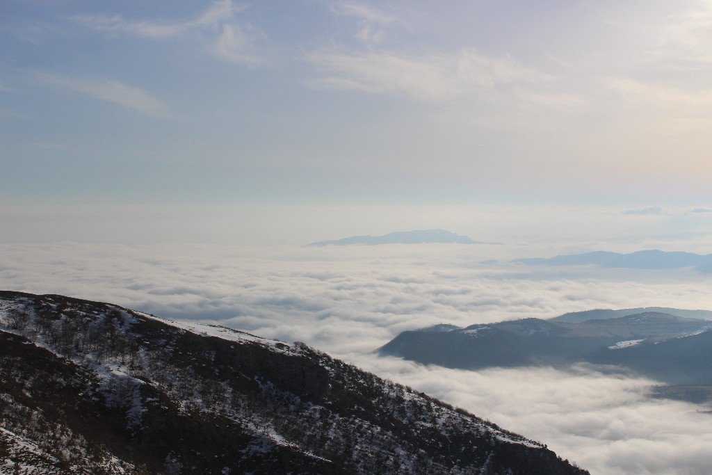 over the fog