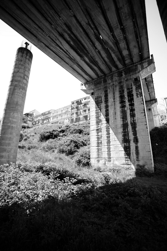 Templi Moderni 12
