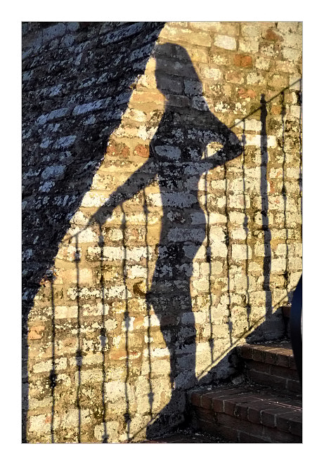 ombra
