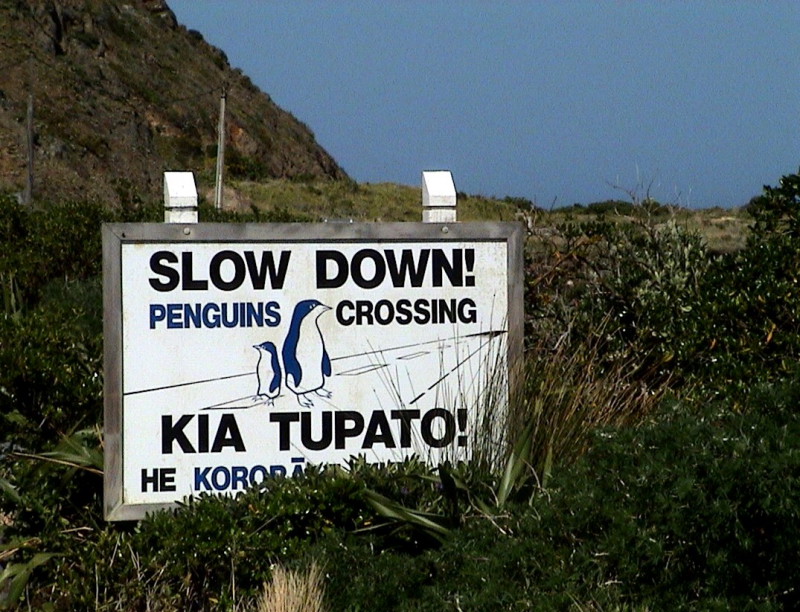 SlowDown