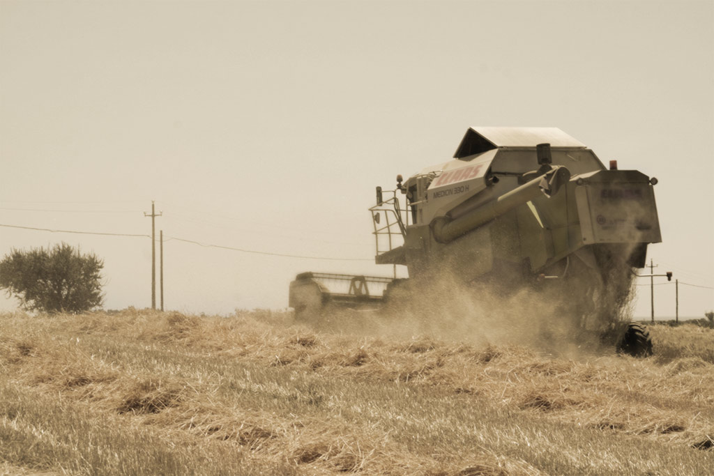 CLAAS "medium" #2