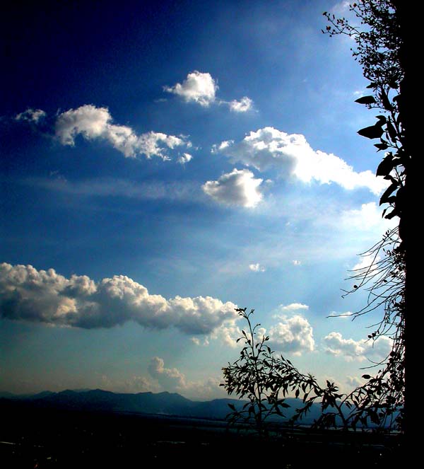 cielo