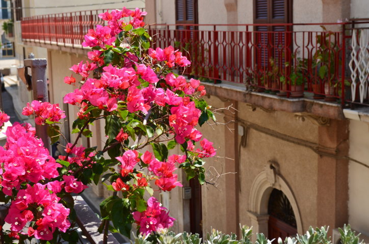 primavera passata