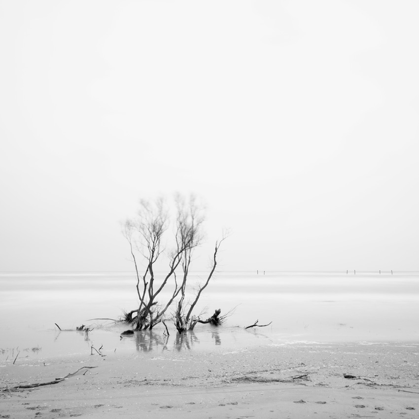 In The Silent