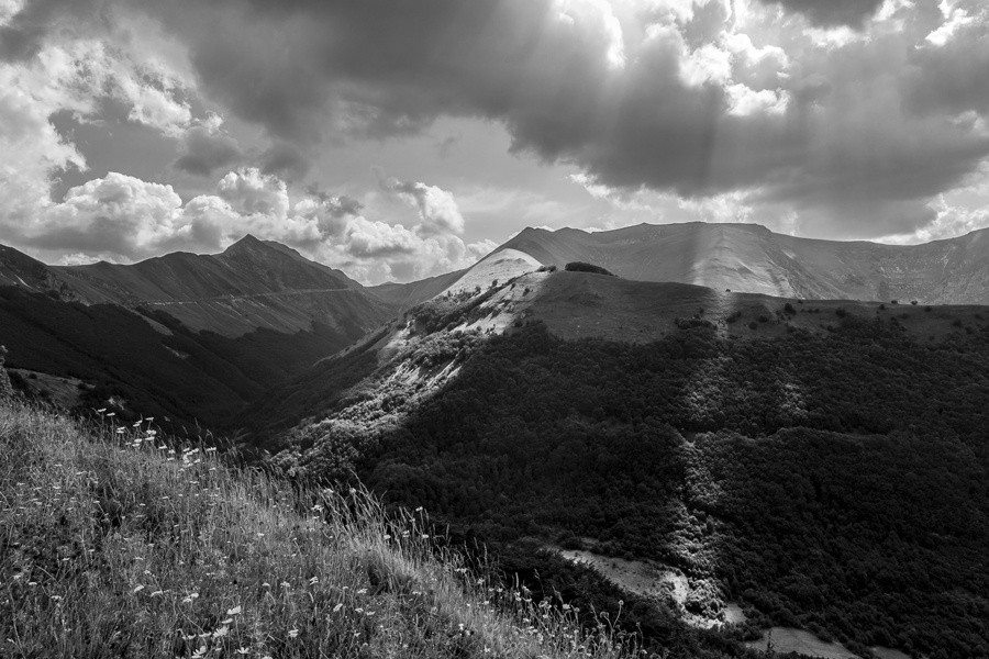 tracce di luce