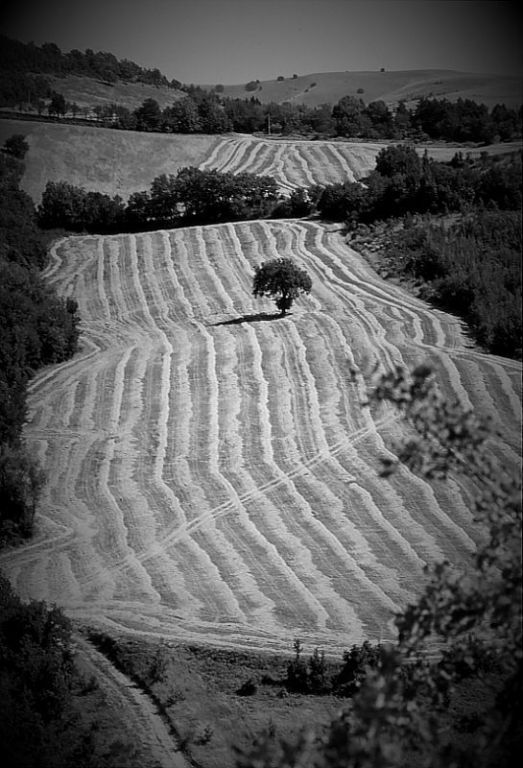 luoghi013