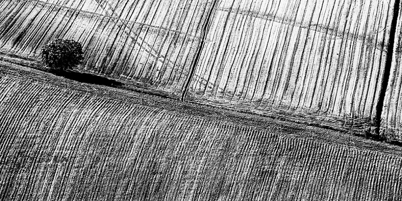 punti e linee