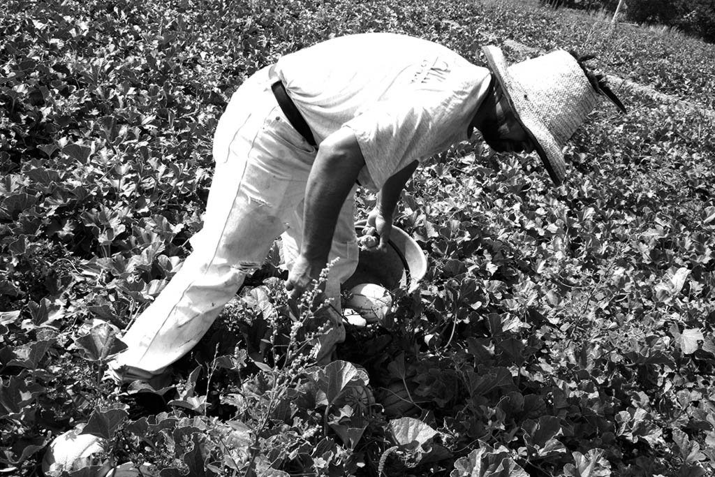 Lavoro