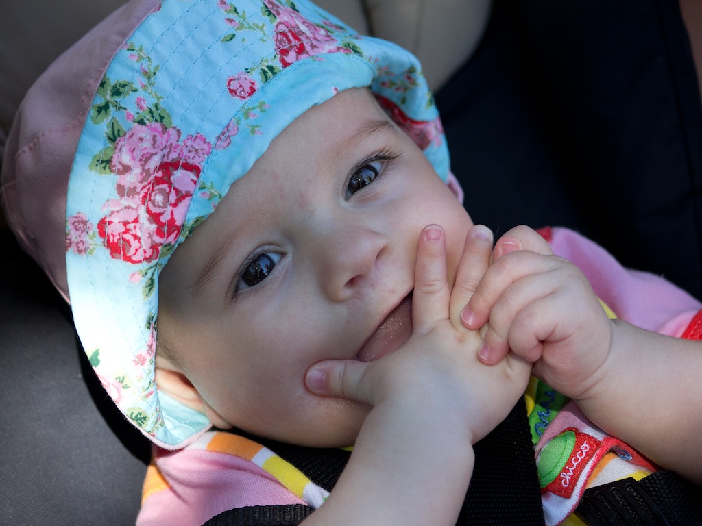 La principessa