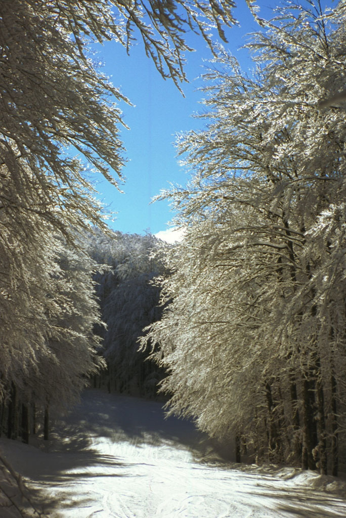 Amiata - il "canalone"