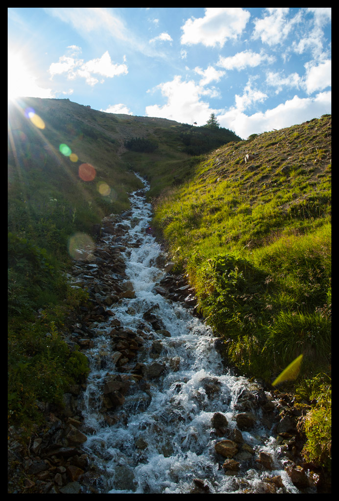 torrente