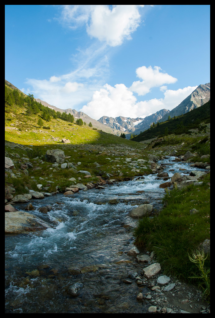 torrente 2