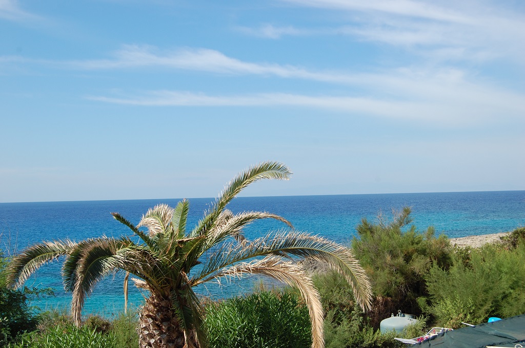 mare