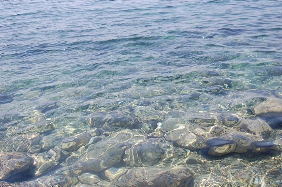 mare