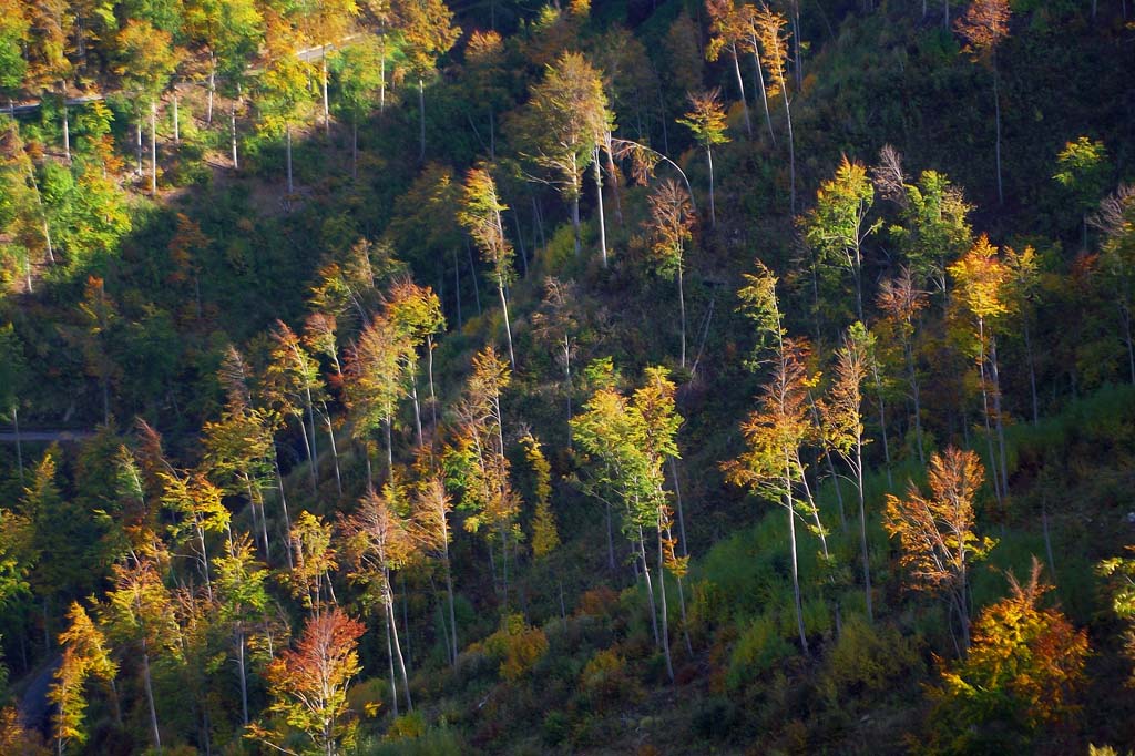 Autunno