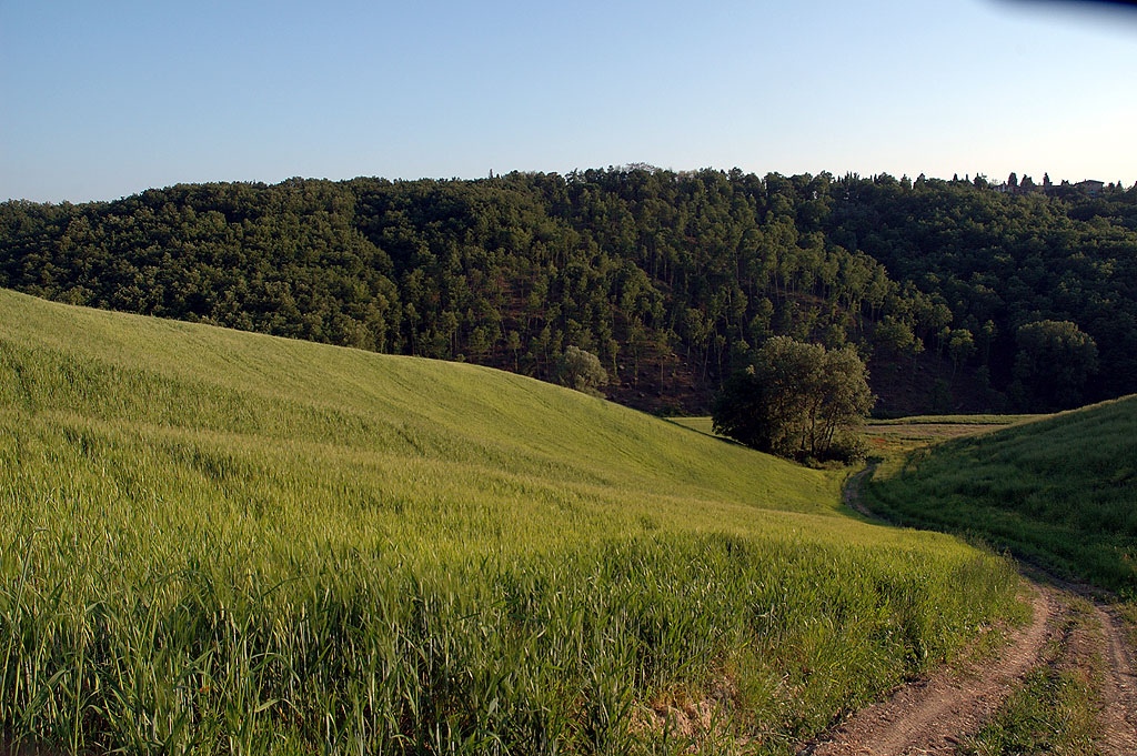 Questa strada conduce ad un laghetto...