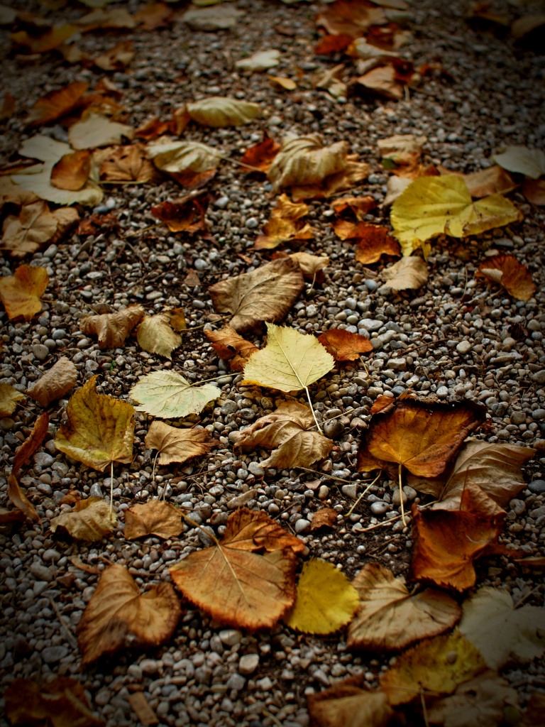 Autunno 2013 (1)