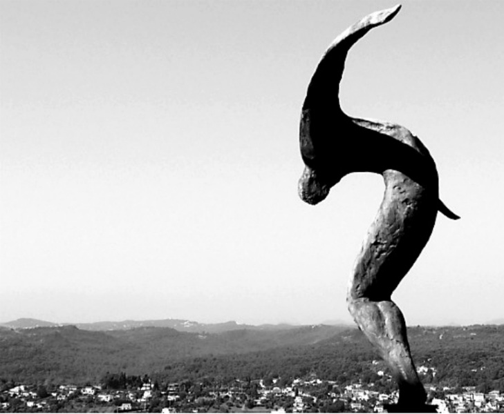 Volo