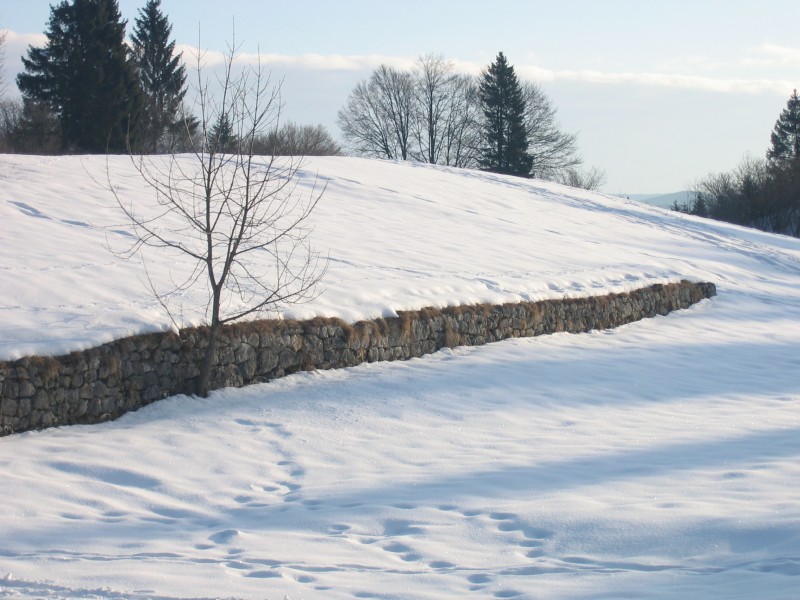 paesaggio innevato