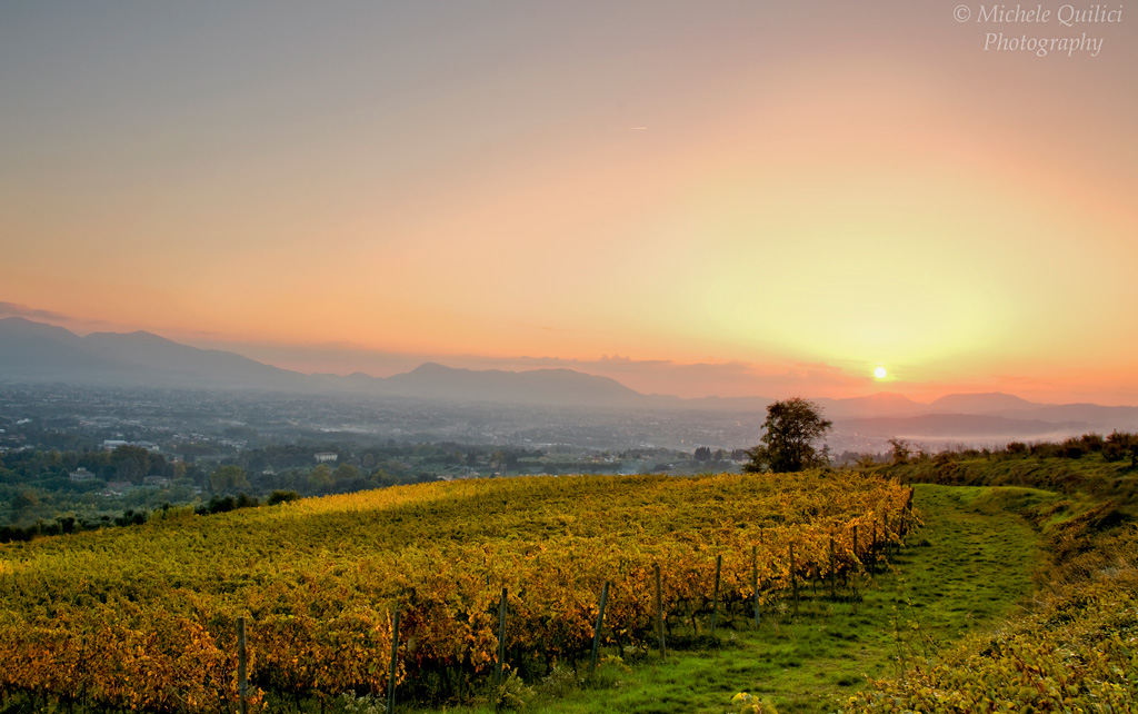 Colline Lucchesi