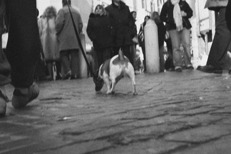passeggiando