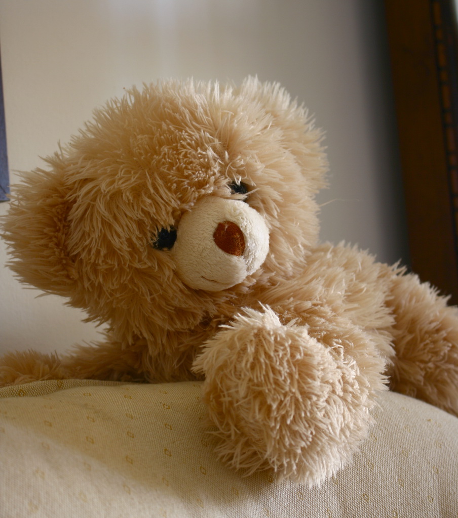TED