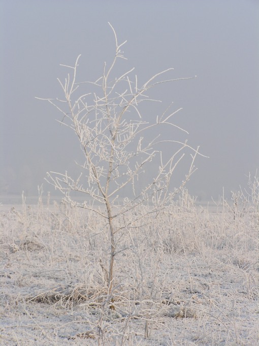 inverno11