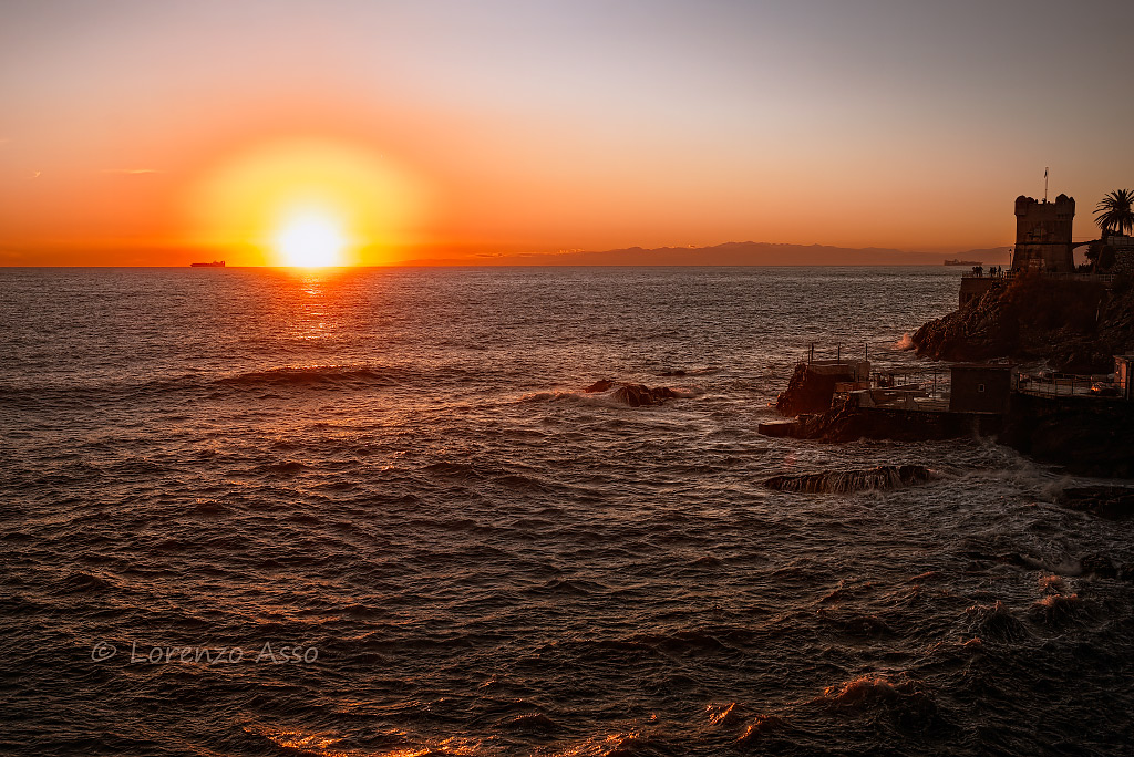 Nervi