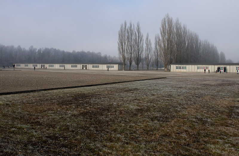 dachau 5