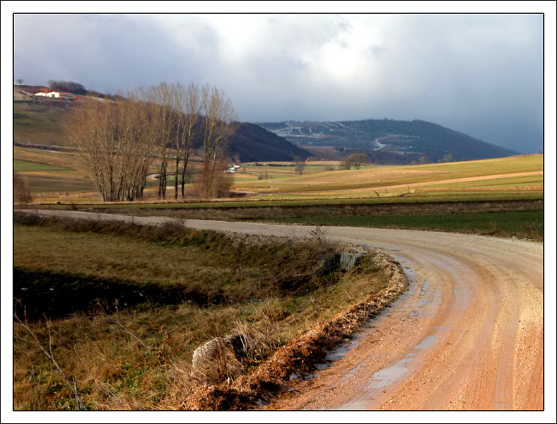 Strada di campagna