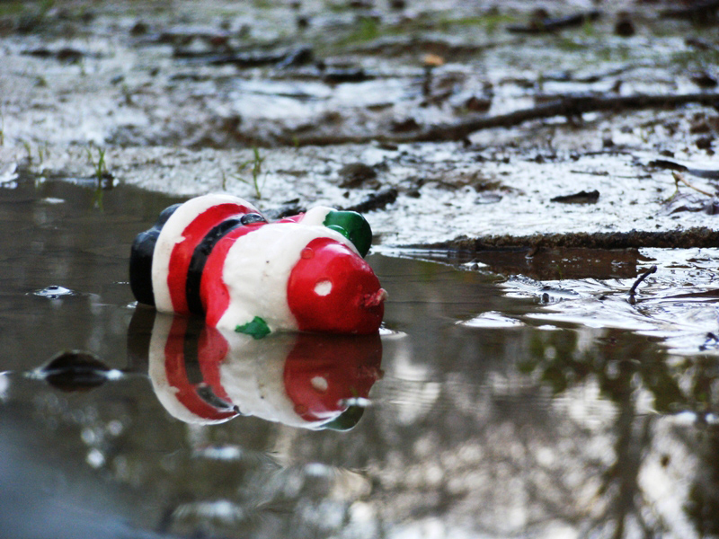 Freddo Natale