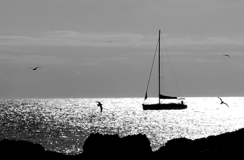 Il mare e i suoi pensieri