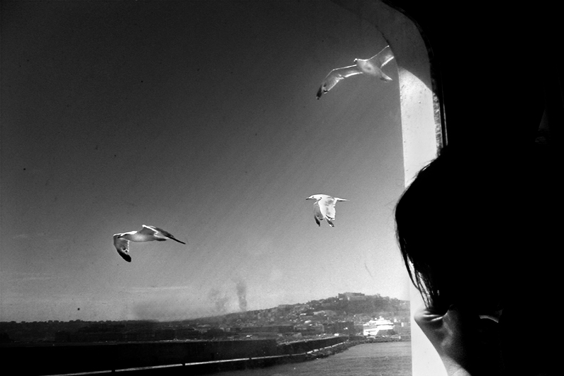 L'arrivo al porto