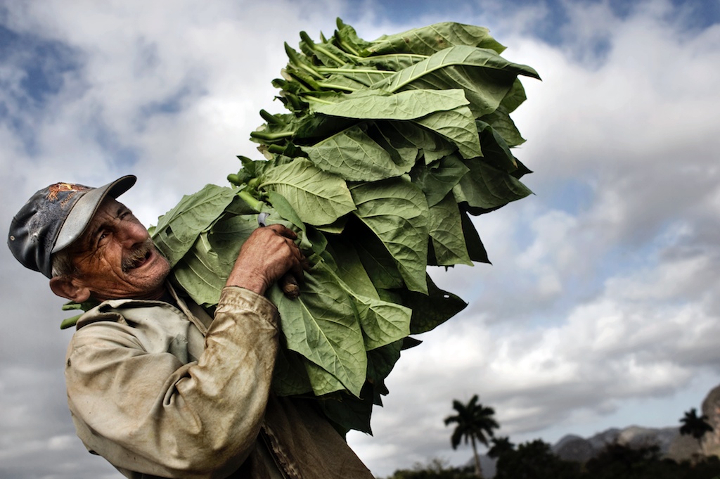cuba8