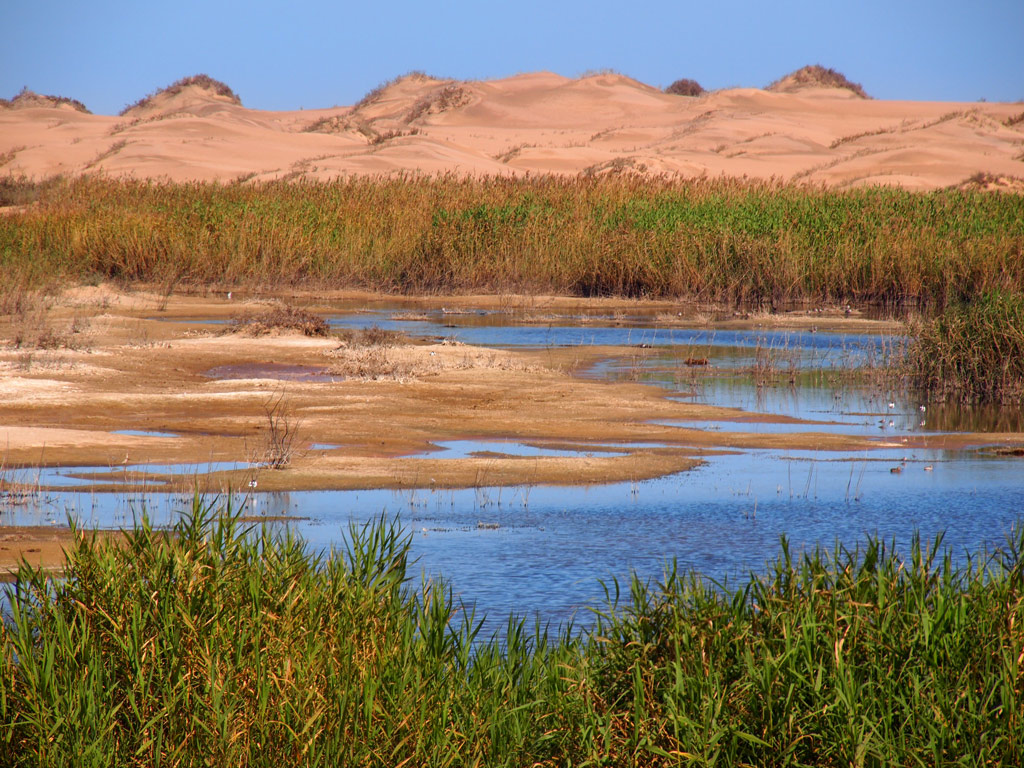 Deserto e vita