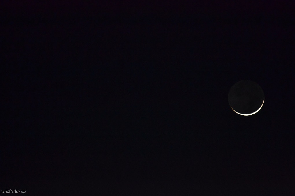 LunaCrescente