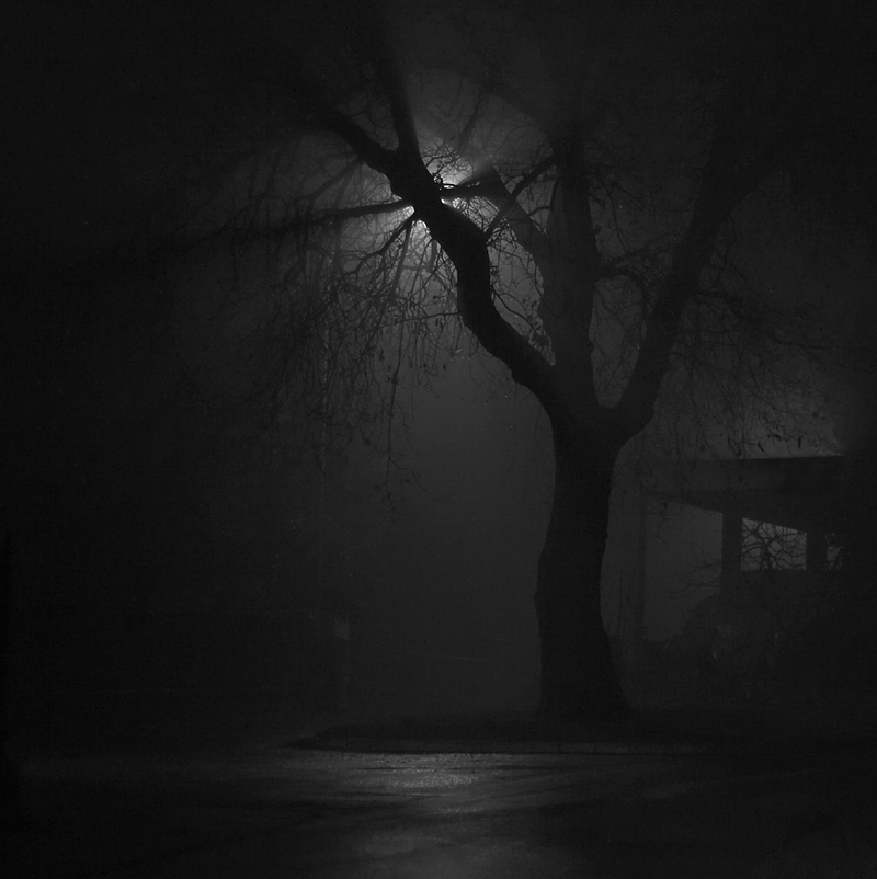 Nebbia +15