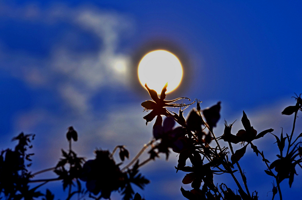 chiaro di luna