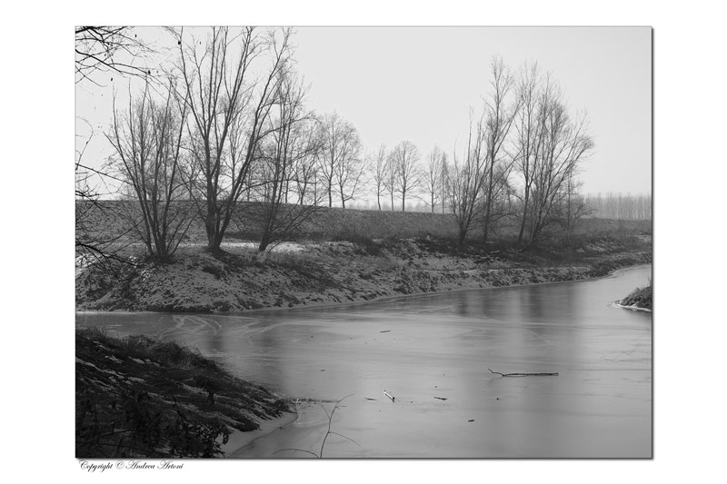 My First b/w