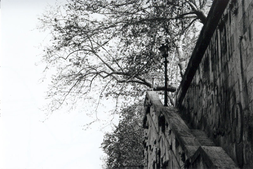 lungotevere
