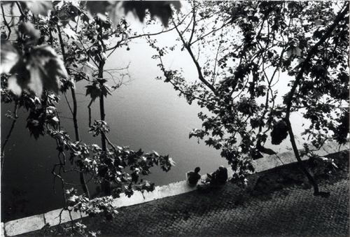 sweet Tevere