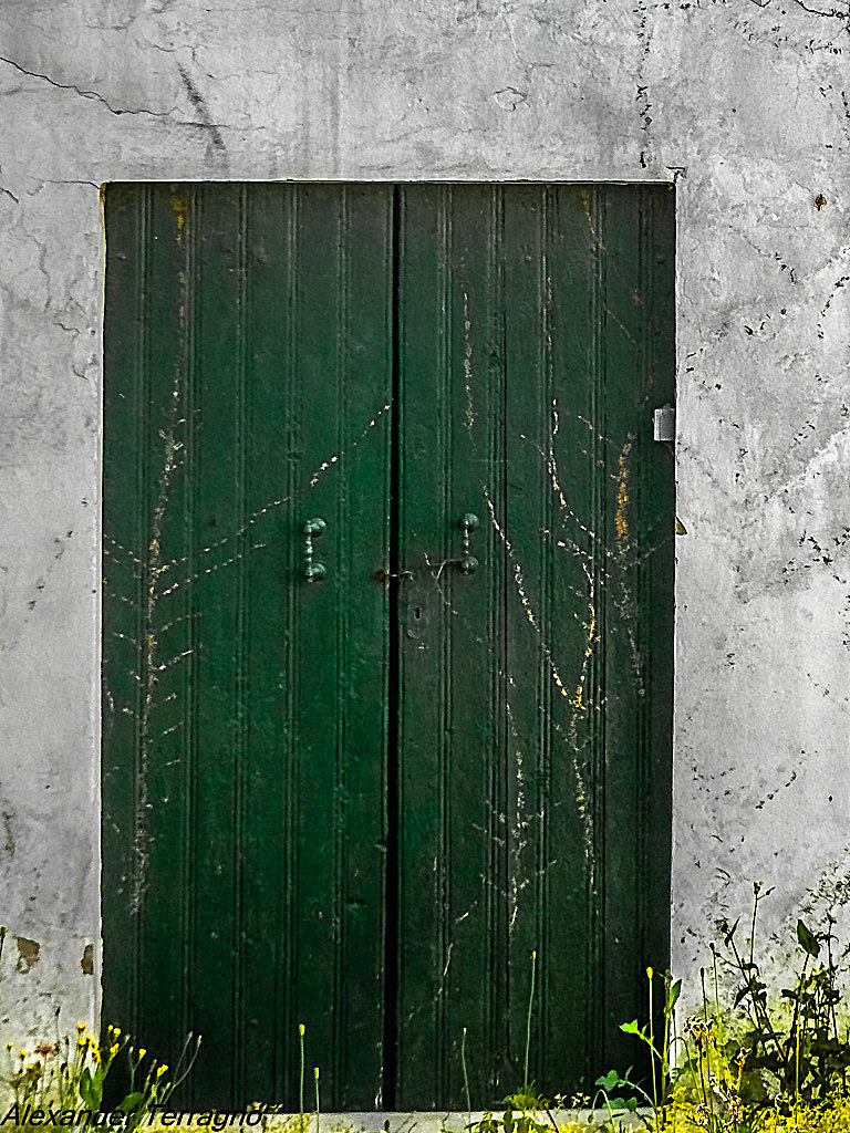 L'abbandono